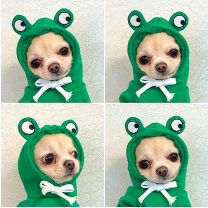 Cute small dog and cat Hoodies