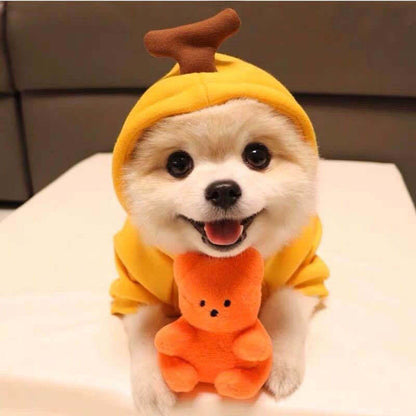 Cute small dog and cat Hoodies