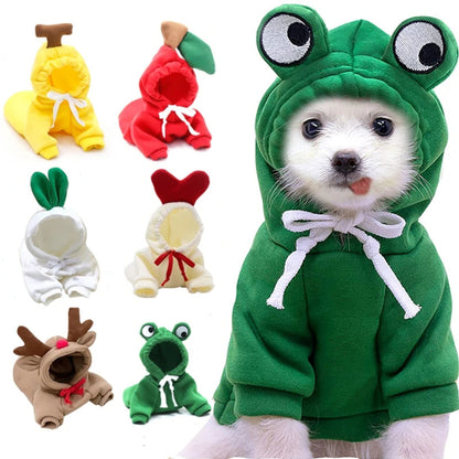 Cute small dog and cat Hoodies