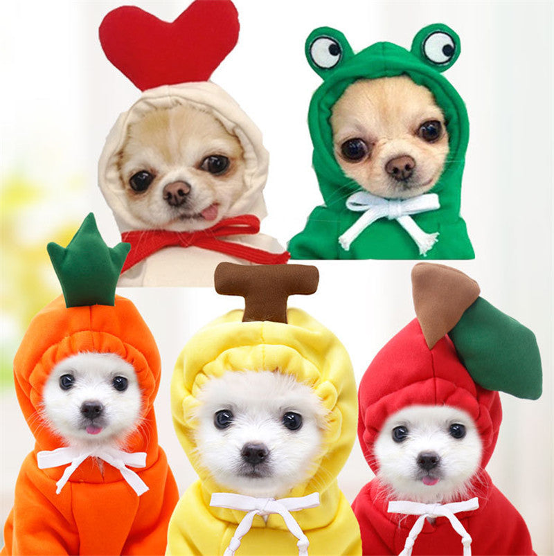 Cute small dog and cat Hoodies