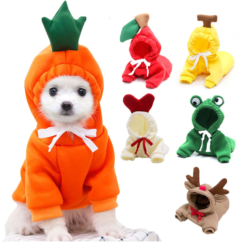 Cute small dog and cat Hoodies